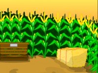 Escape Corn Maze