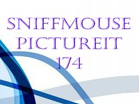 Sniffmouse PictureIt 174