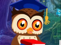 Degree Owl Rescue