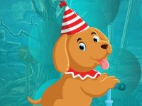 Party Hat Dog Escape