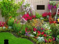 Beautiful Flower Garden