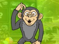 Muddled Monkey Escape