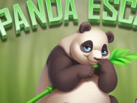 Bashful Panda Escape