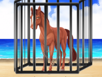 Beach Horse Escape