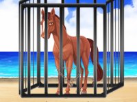 Beach Horse Escape