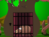 Brown Piggy Escape