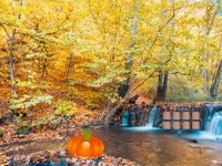 Autumn Waterfall Escape