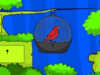 Tiny Red Bird Escape