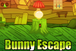 Bunny Escape