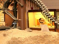 Prehistoric Museum Escape