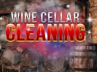 Wine Cellar Cleaning