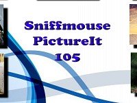 Sniffmouse PictureIt 105